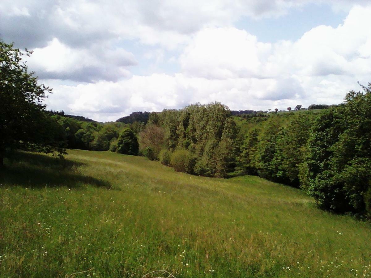 Chateau De La Lucaziere Mont-Saint-Jean  ภายนอก รูปภาพ
